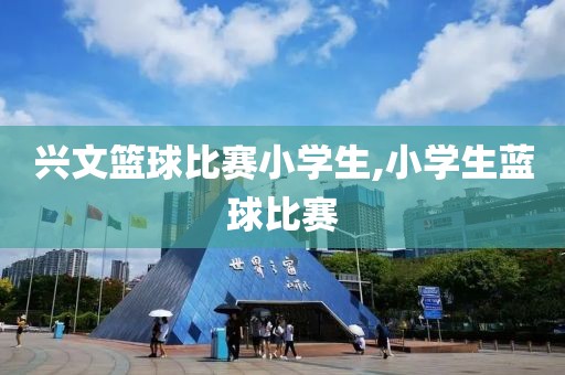 兴文篮球比赛小学生,小学生蓝球比赛