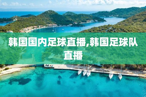 韩国国内足球直播,韩国足球队直播