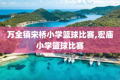 万全镇宋桥小学篮球比赛,宏庙小学篮球比赛