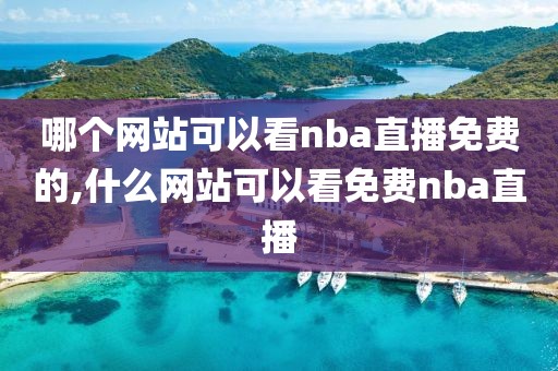 哪个网站可以看nba直播免费的,什么网站可以看免费nba直播