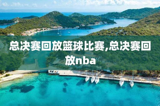 总决赛回放篮球比赛,总决赛回放nba