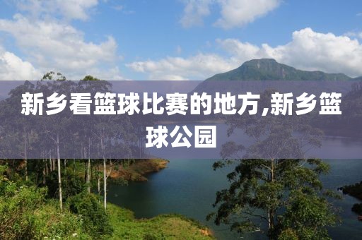 新乡看篮球比赛的地方,新乡篮球公园