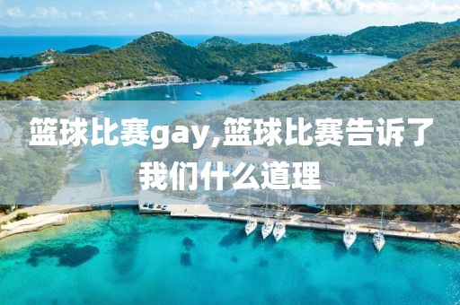 篮球比赛gay,篮球比赛告诉了我们什么道理