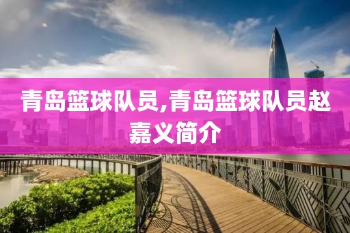 青岛篮球队员,青岛篮球队员赵嘉义简介