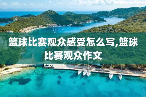 篮球比赛观众感受怎么写,篮球比赛观众作文