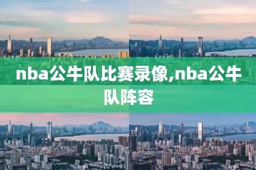 nba公牛队比赛录像,nba公牛队阵容