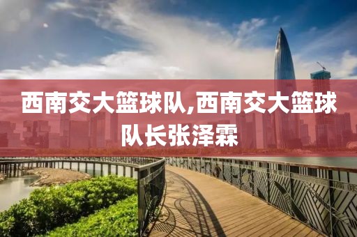 西南交大篮球队,西南交大篮球队长张泽霖