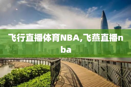 飞行直播体育NBA,飞燕直播nba