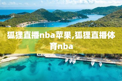 狐狸直播nba苹果,狐狸直播体育nba