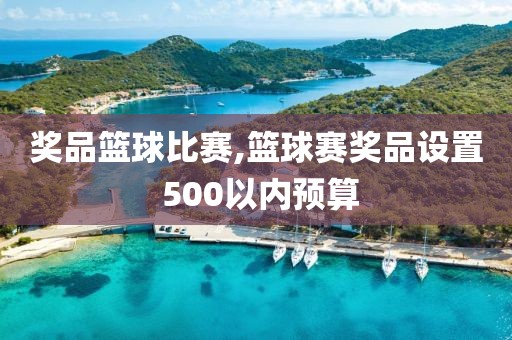 奖品篮球比赛,篮球赛奖品设置 500以内预算
