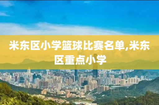 米东区小学篮球比赛名单,米东区重点小学