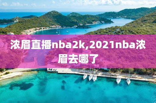 浓眉直播nba2k,2021nba浓眉去哪了