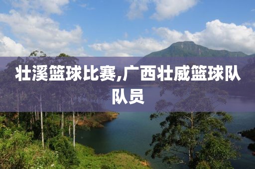 壮溪篮球比赛,广西壮威篮球队队员