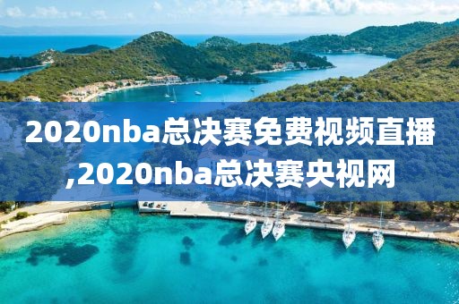 2020nba总决赛免费视频直播,2020nba总决赛央视网