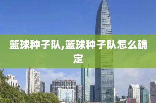 篮球种子队,篮球种子队怎么确定