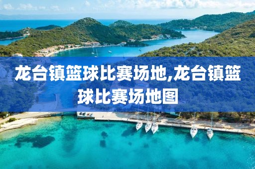 龙台镇篮球比赛场地,龙台镇篮球比赛场地图