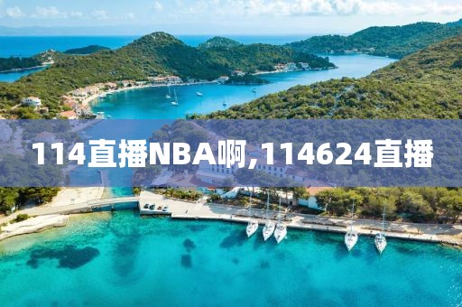 114直播NBA啊,114624直播