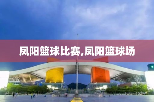 凤阳篮球比赛,凤阳篮球场