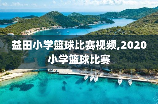 益田小学篮球比赛视频,2020小学篮球比赛