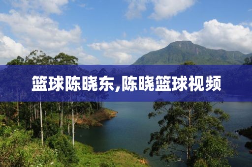 篮球陈晓东,陈晓篮球视频