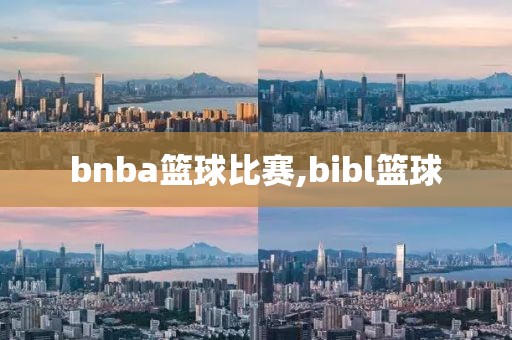 bnba篮球比赛,bibl篮球