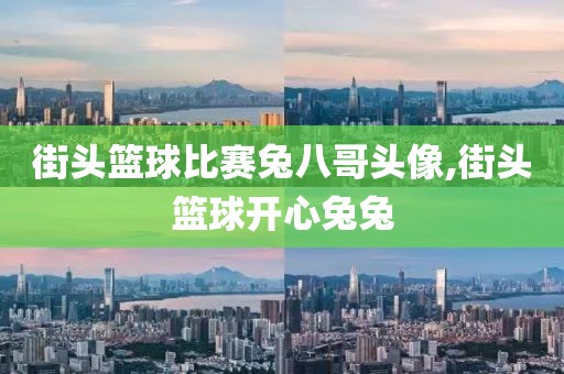 街头篮球比赛兔八哥头像,街头篮球开心兔兔
