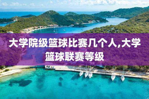 大学院级篮球比赛几个人,大学篮球联赛等级
