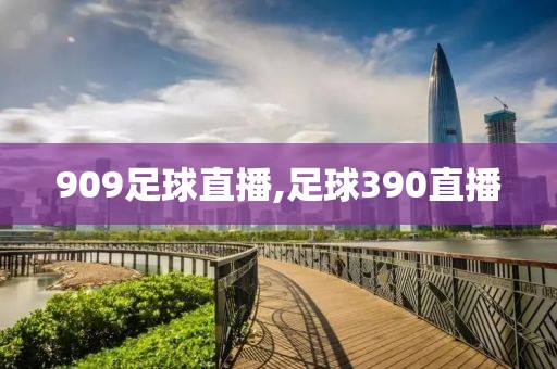 909足球直播,足球390直播