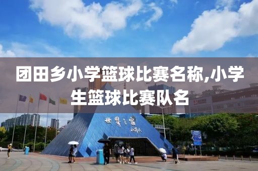 团田乡小学篮球比赛名称,小学生篮球比赛队名