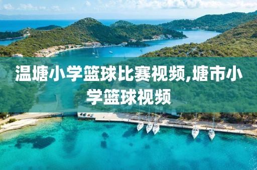 温塘小学篮球比赛视频,塘市小学篮球视频