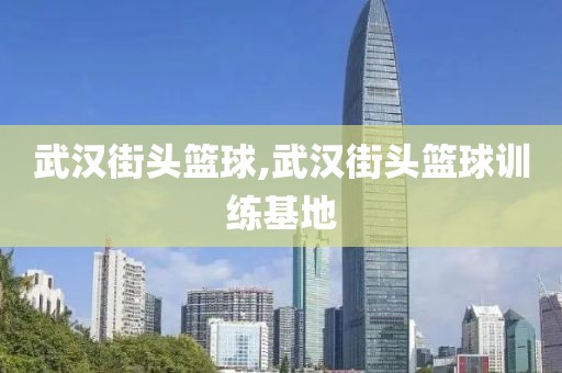 武汉街头篮球,武汉街头篮球训练基地