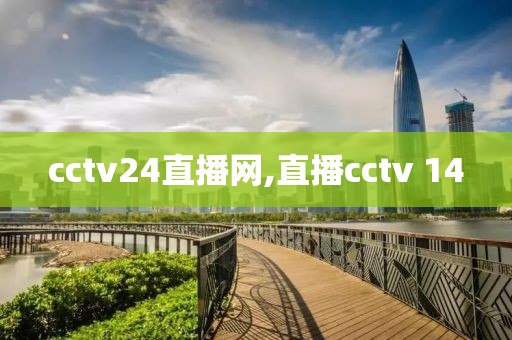 cctv24直播网,直播cctv 14