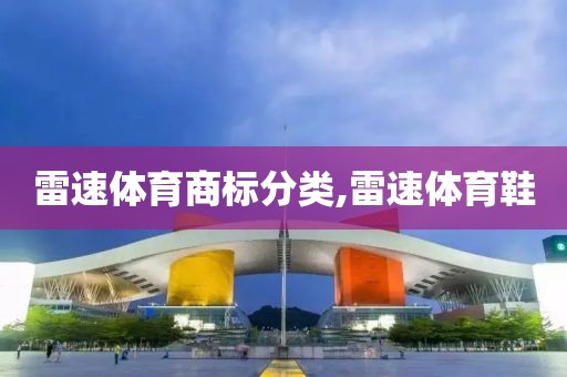 雷速体育商标分类,雷速体育鞋