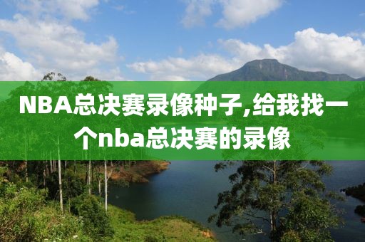 NBA总决赛录像种子,给我找一个nba总决赛的录像