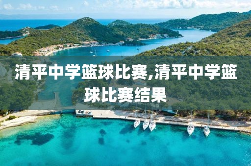 清平中学篮球比赛,清平中学篮球比赛结果