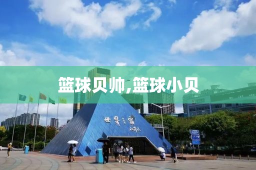 篮球贝帅,篮球小贝