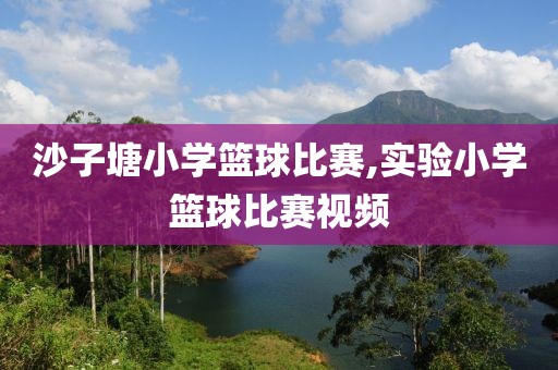 沙子塘小学篮球比赛,实验小学篮球比赛视频