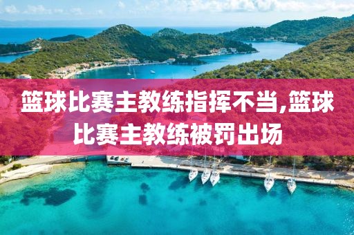 篮球比赛主教练指挥不当,篮球比赛主教练被罚出场