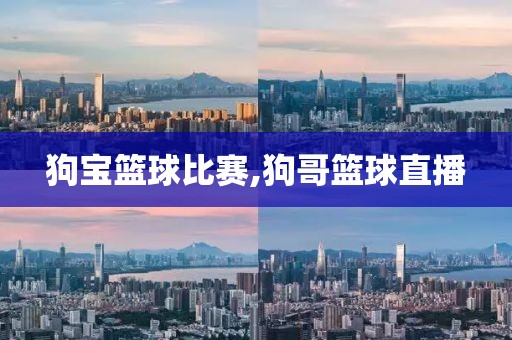 狗宝篮球比赛,狗哥篮球直播