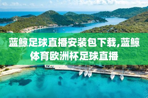 蓝鲸足球直播安装包下载,蓝鲸体育欧洲杯足球直播