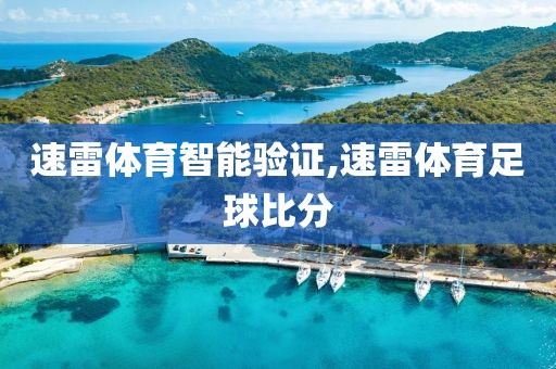 速雷体育智能验证,速雷体育足球比分