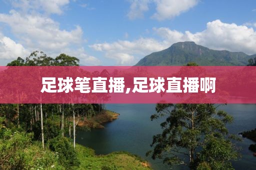足球笔直播,足球直播啊