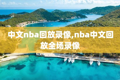 中文nba回放录像,nba中文回放全场录像