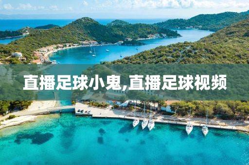 直播足球小鬼,直播足球视频