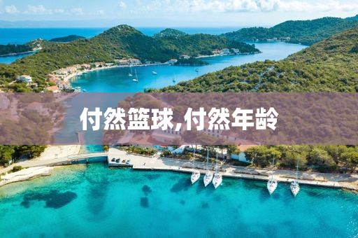 付然篮球,付然年龄