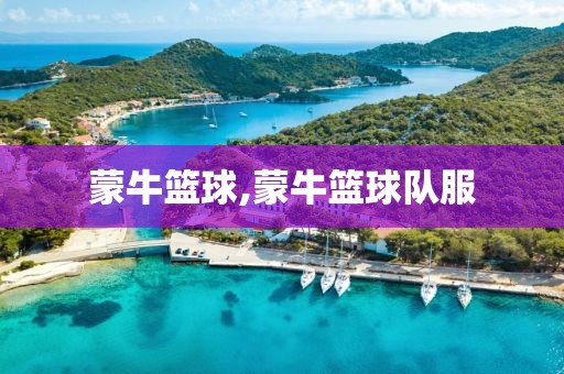 蒙牛篮球,蒙牛篮球队服