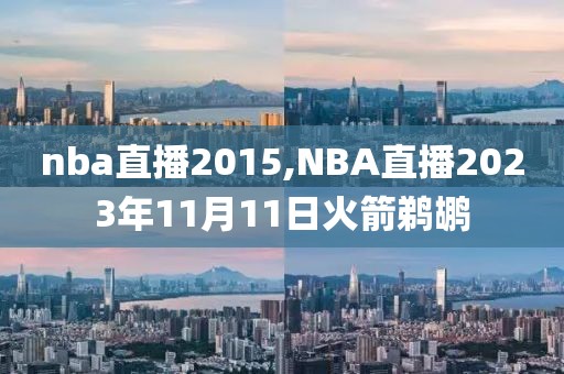 nba直播2015,NBA直播2023年11月11日火箭鹈鹕