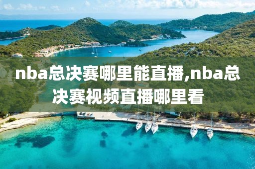 nba总决赛哪里能直播,nba总决赛视频直播哪里看