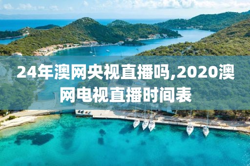 24年澳网央视直播吗,2020澳网电视直播时间表