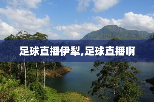足球直播伊犁,足球直播啊